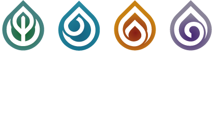Elements Experience